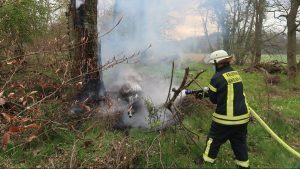 Img 2963 e1620020578824