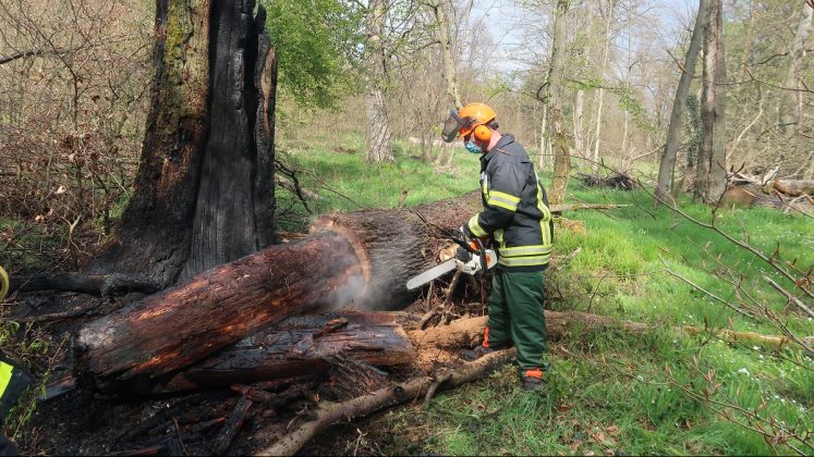 IMG 2967 e1620020606569