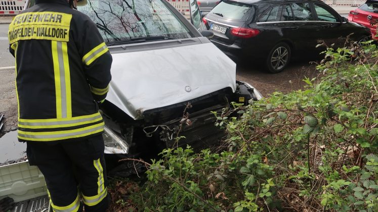 IMG 2997 e1620469367977