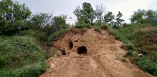 LoesswandGuntersblum e1620955618491