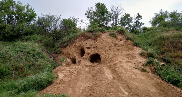 LoesswandGuntersblum e1620955618491