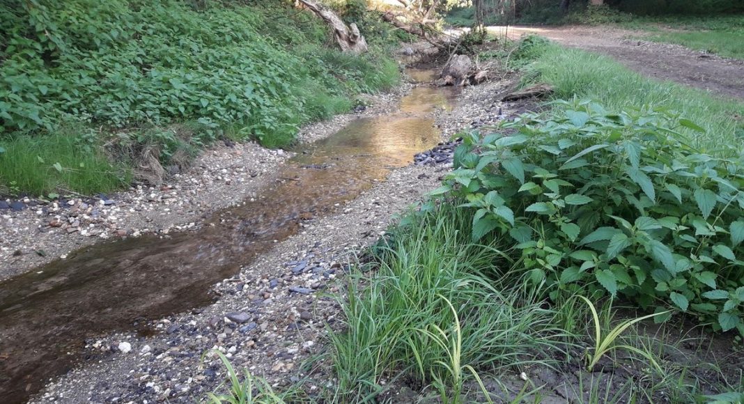 Topthema 20210503 WRRL Ahr Nette Mittelrhein c SGD T.Muellen