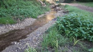 Online-diskussion zum thema "saubere gewässer" Topthema 20210503 wrrl ahr nette mittelrhein c sgd t. Muellen