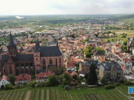 Oppenheim, VG Rhein-Selz