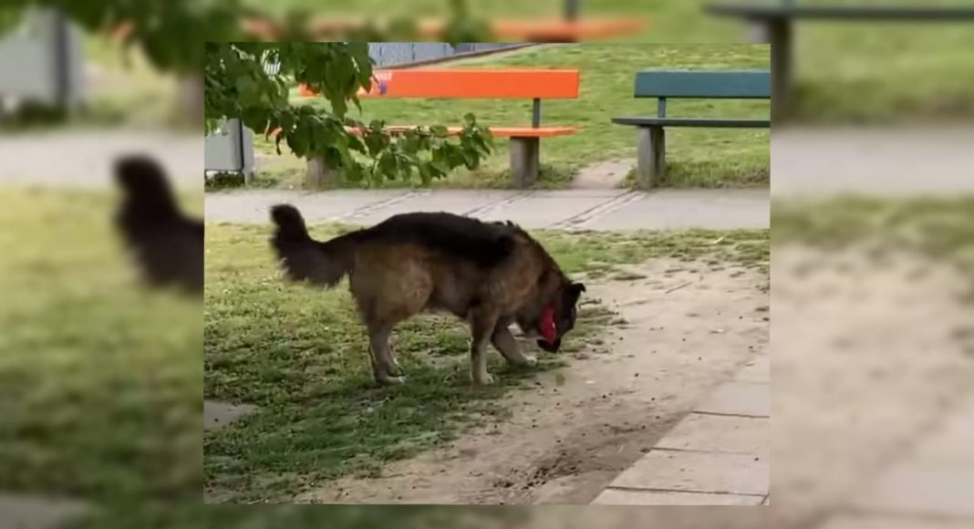 WhatsApp Image 2021 05 06 at 11.21.11