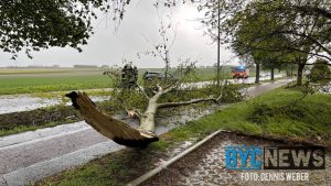 WhatsApp Image 2021 05 16 at 19.22.12 1