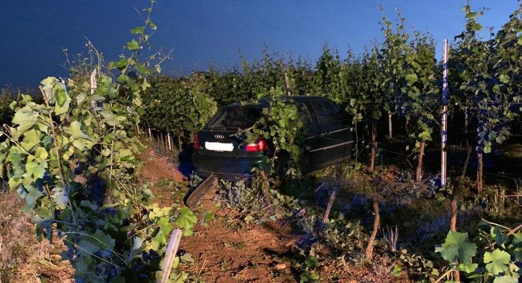 04c3455c 35a4 4841 8140 4230fd23b6bd e1624860024923