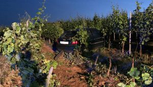 04c3455c 35a4 4841 8140 4230fd23b6bd e1624860024923