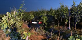 04c3455c 35a4 4841 8140 4230fd23b6bd e1624860024923