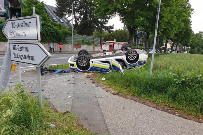 196694081 1147636095743351 2643446192803889749 n