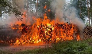 201085003 4175529612540613 5728254935011757067 n e1623506839796