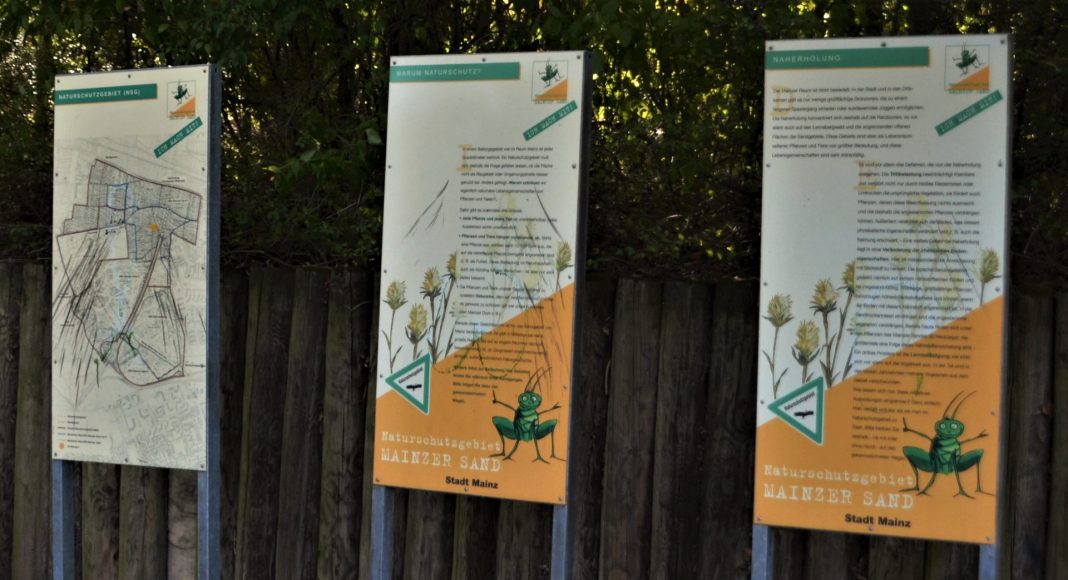 20190919 mainz mombach thorsten luettringhaus 2