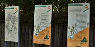 20190919 mainz mombach thorsten luettringhaus 2