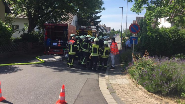 204222985 1742498899267801 5238050826483836211 n e1624868022609