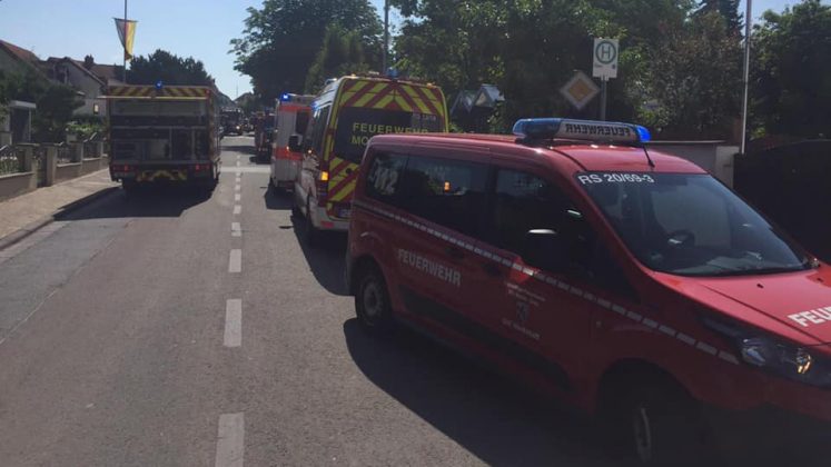 208432752 1742498842601140 6122377805944810629 n e1624867972342