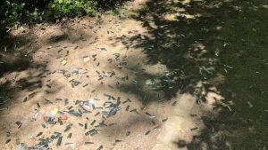 Auf zur safari - tiergarten in worms mit neuer attraktion