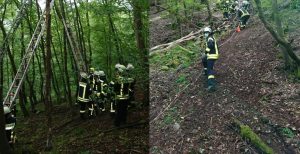 Feuerwehr ruedesheim an der nahe