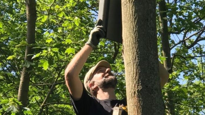 IMG 20210602 WA0000 IMG 20210602 WA0000