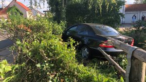 Bandwurm-mittel gegen covid-19 - charité berlin startet klinische studie