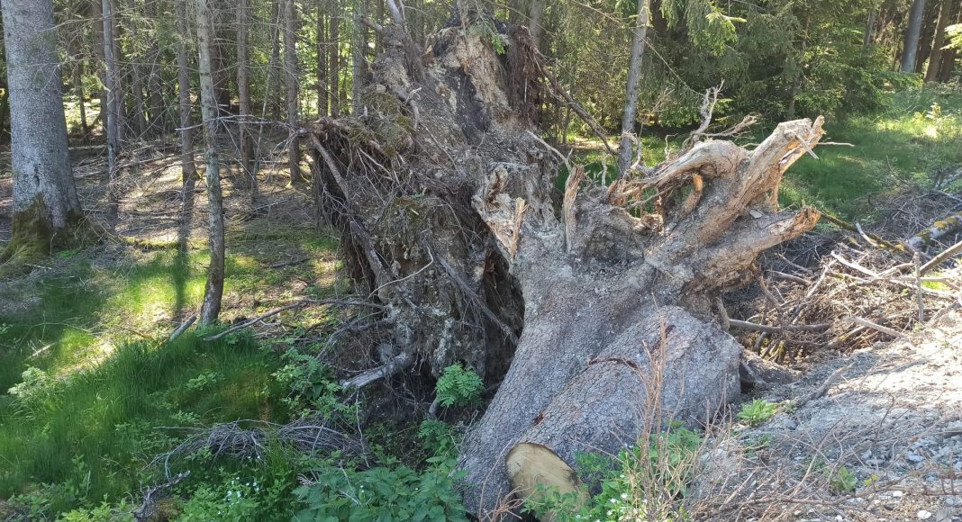 IMG 20210601 103722 IMG 20210601 103722