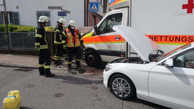 IMG 3092 e1622963388170