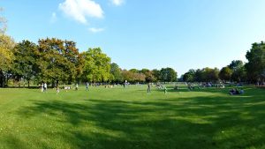 Mainzer volkspark