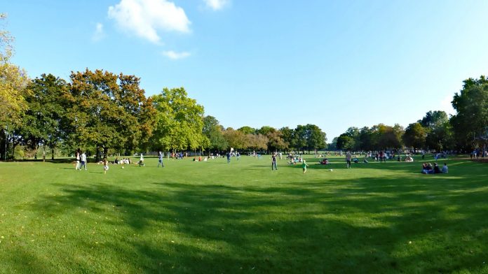 Mainzer Volkspark