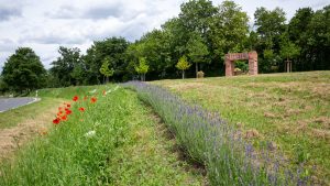 Urlaubszeit: wenn der tierische liebling zu hause bleiben muss