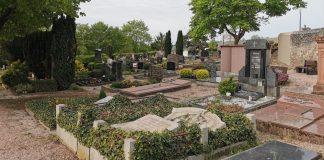 Opp Friedhof 1