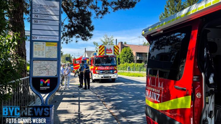 WhatsApp Image 2021 06 01 at 16.41.09