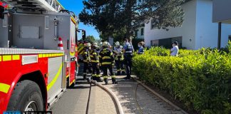 WhatsApp Image 2021 06 01 at 17.16.32