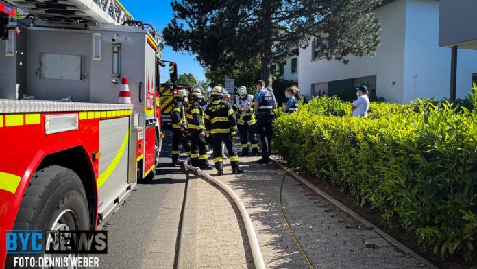 WhatsApp Image 2021 06 01 at 17.16.32