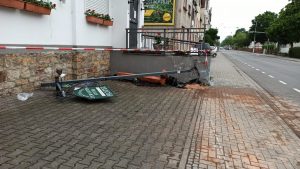 Fledermausschutz in oppenheim - nabu rhein-selz installiert 40 weitere quartiere