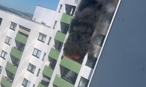 Klimaliste deutschland kritisiert wahlprogramm von bündnis 90 / die grünen