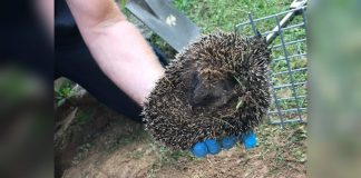 WhatsApp Image 2021 06 18 at 08.36.41 1