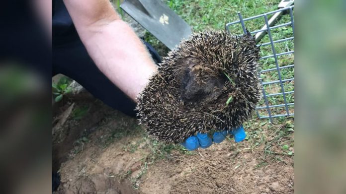 WhatsApp Image 2021 06 18 at 08.36.41 1 WhatsApp Image 2021 06 18 at 08.36.41 1