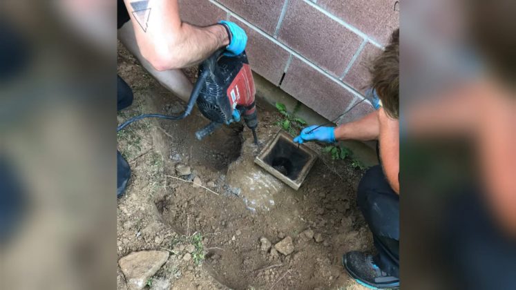 WhatsApp Image 2021 06 18 at 08.36.41