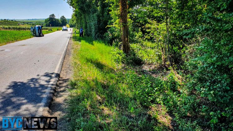 WhatsApp Image 2021 06 19 at 11.02.26