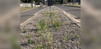 WhatsApp Image 2021 06 20 at 11.14.39