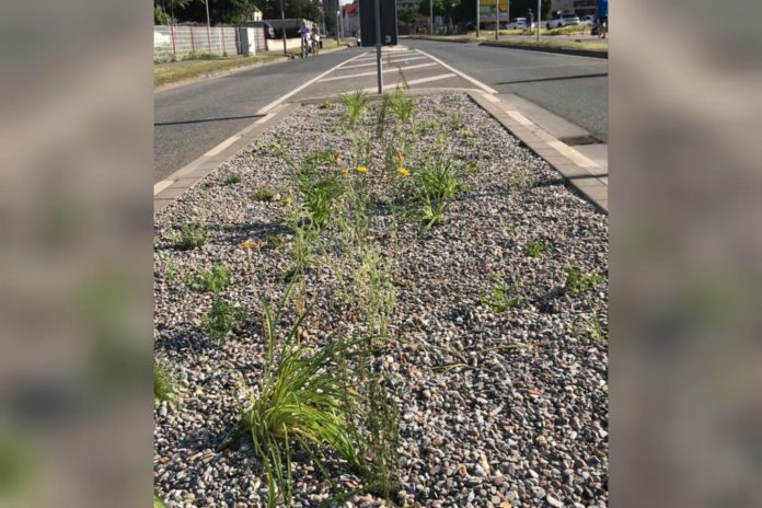 WhatsApp Image 2021 06 20 at 11.14.39