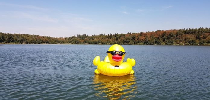 badesse ente badesse ente