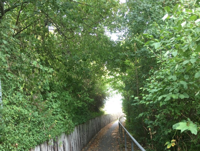 image0 e1622621224180 image0 e1622621224180