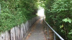 Image0 e1622621224180