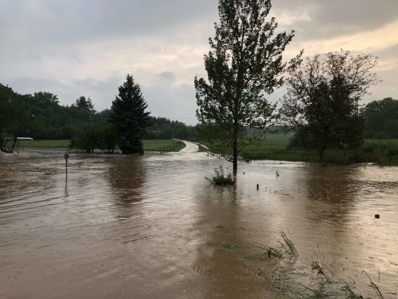 Unwetter sorgt für dauereinsatz der feuerwehren im kreis bad kreuznach Image2