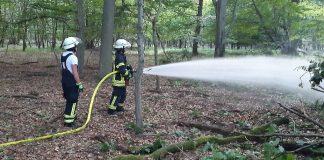 20210721 204848 e1626937532889