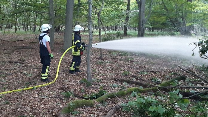 20210721 204848 e1626937532889 20210721 204848 e1626937532889