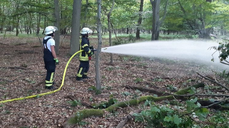 20210721 204848 e1626937532889