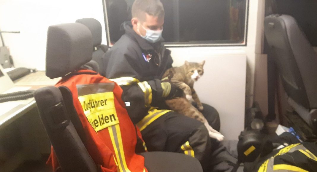 20210728 035145 e1627455623517