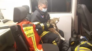 Stellenangebot: smart king in nierstein sucht verstärkung