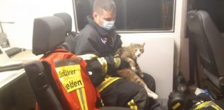 20210728 035145 e1627455623517